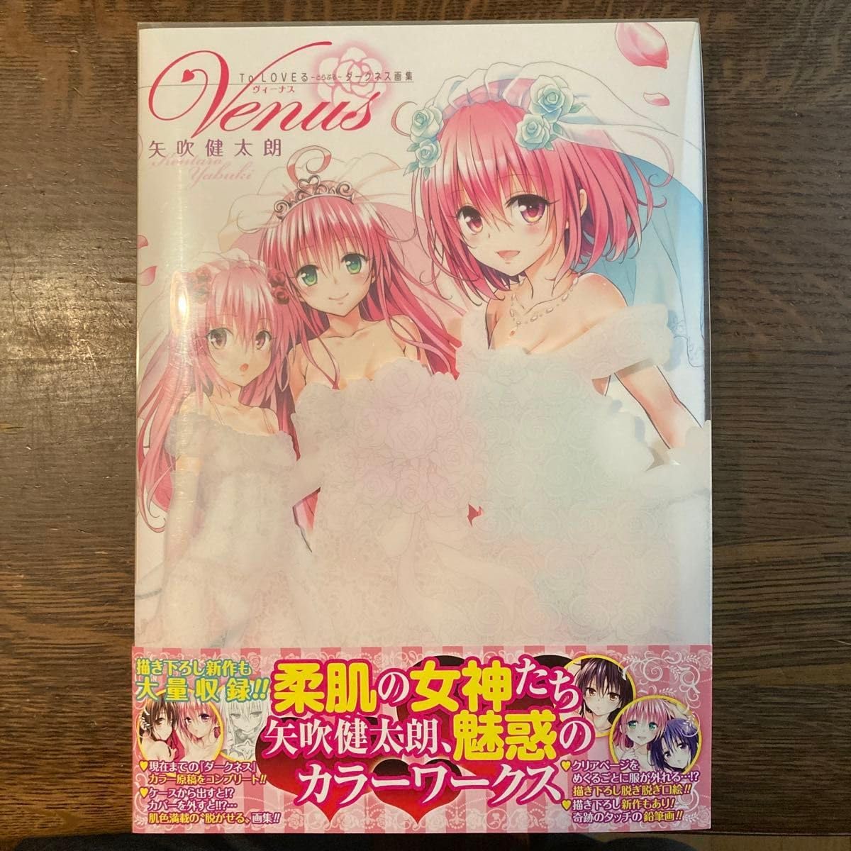 To LOVEる-とらぶる-ダークネス画集Venus その他