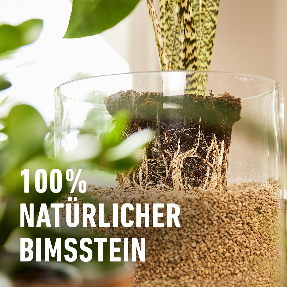 COMPO Granuplant Bio - Granuli vegetali per interni – 100% naturale in pietra pomice – grana da 2 – 5 mm – 12,5 l