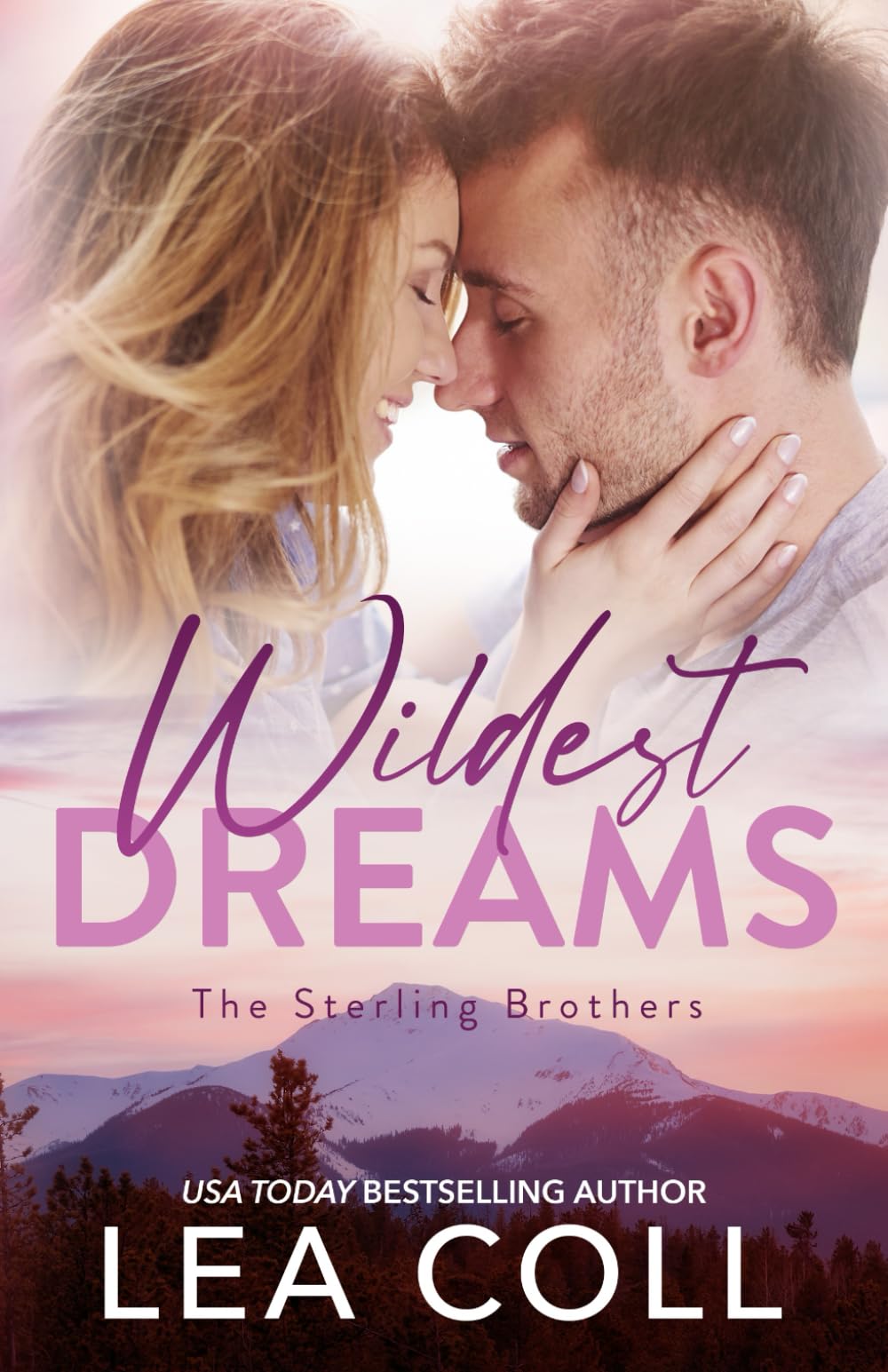 Wildest Dreams: A Second Chance Holiday Romance (The Sterling Brothers)