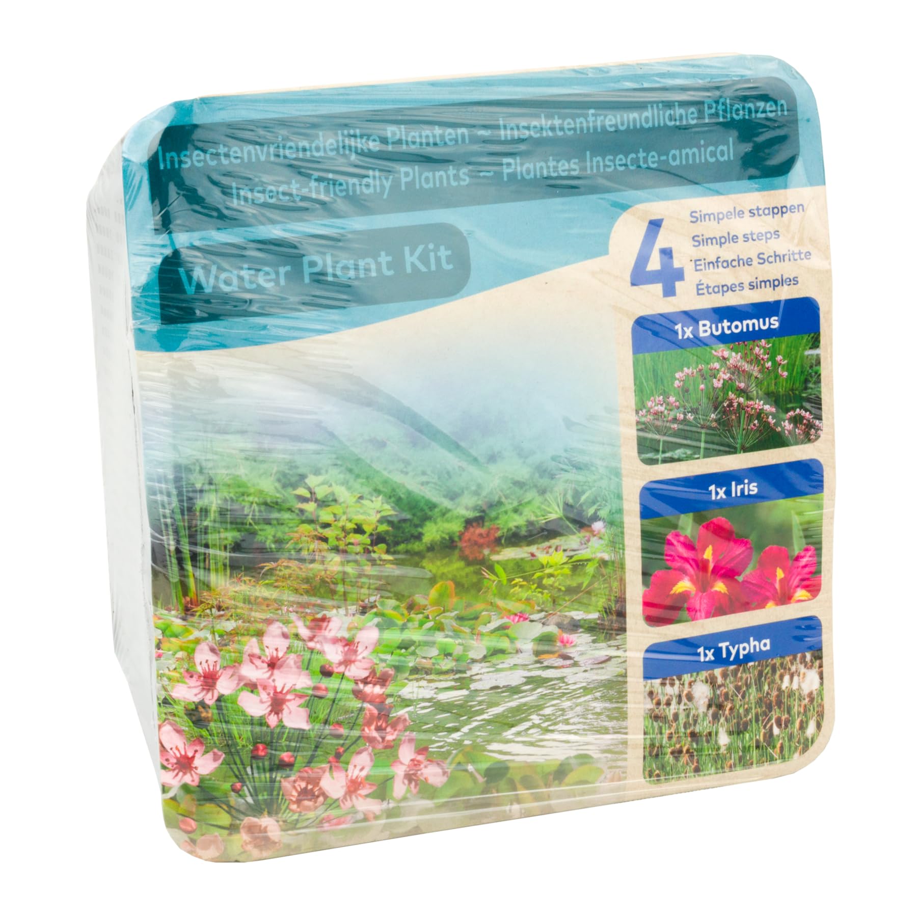 Moerings Waterplants Pond Planting Complete Kit - Insect-Friendly Plants (Iris, Butomus and Typha)