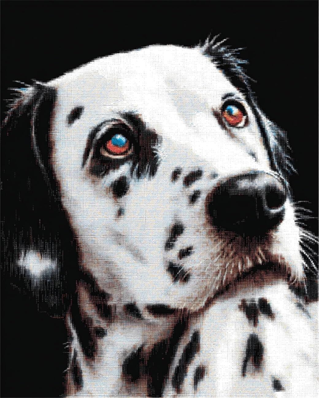 RKFLGEW DIY Seed Bead Embroidery Kits Dalmatian Portrait 40x50cm