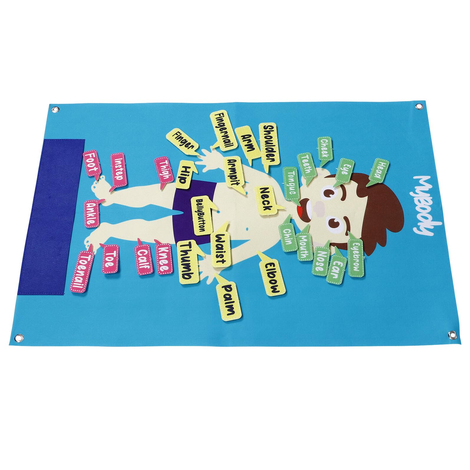 Abaodam Tablero de Fieltro Cuerpo Humano 56x82 Cm para Aprendizaje Preescolar, Herramienta Educativa Interactiva, Póster Didáctico de Actividades y Cuentos Divertidos