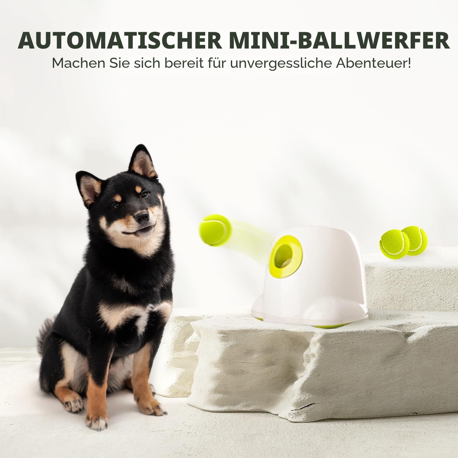 ALL FOR PAWS Automatischer Ballwerfer für Hunde – Interaktive Ballwurfmaschine mit 3Pcs 2" Tennisbällen, für kleine & mittlere Hunde, Hundespielzeug, Interaktives Hundespielzeug