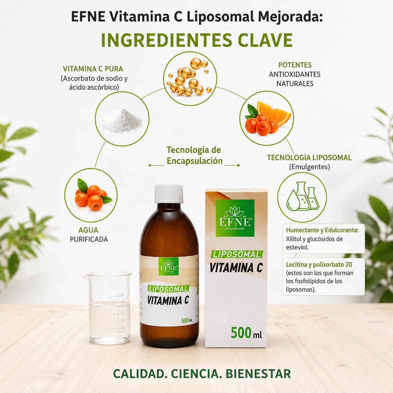 Vitamina C Liposomal 100% | Botella de 500 ML | 5 Gramos de LIPOSOMAL por 10 ML | Máxima absorción | Dosificación Potente | Suministro para más de 1 mes | EFNE |