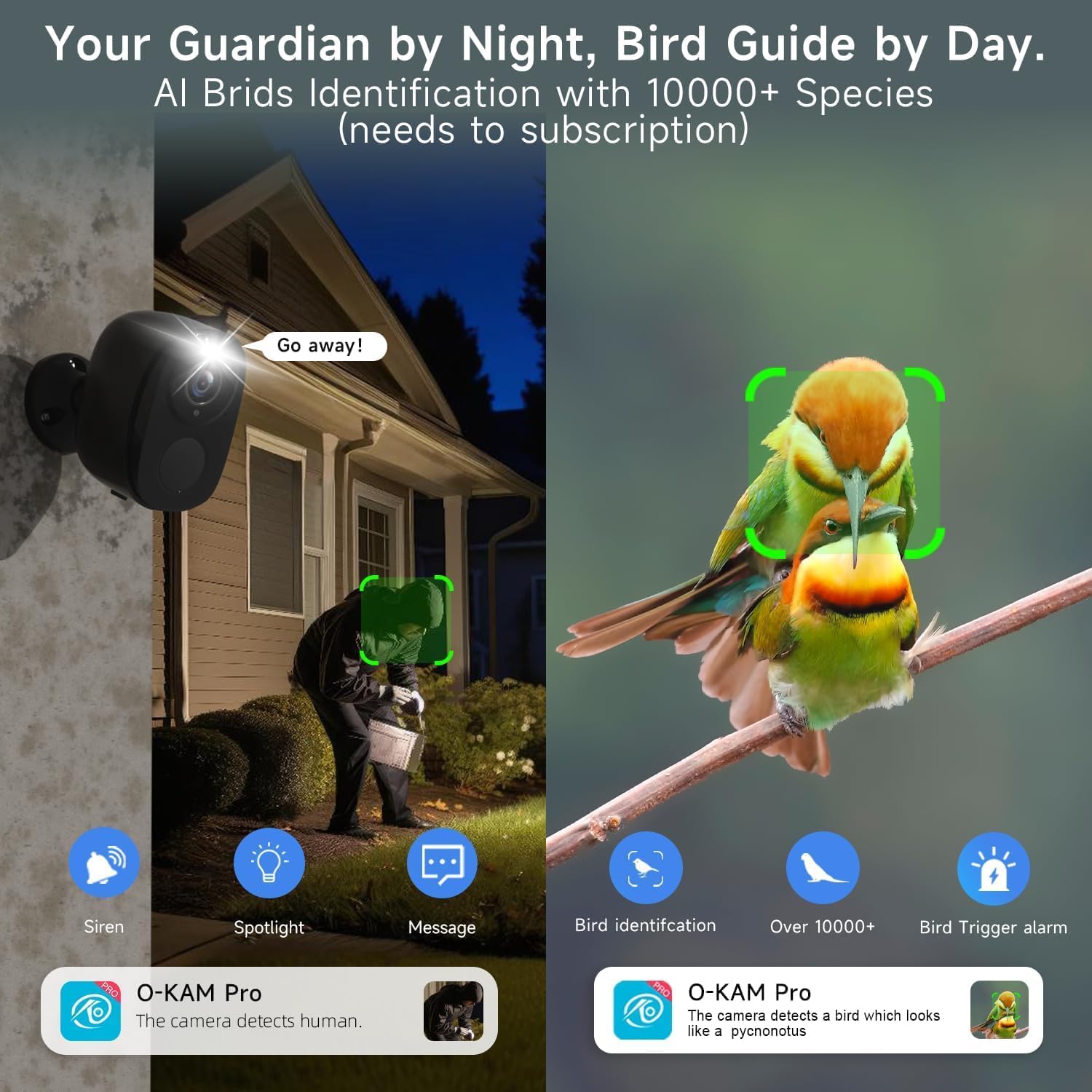 Image showing AI bird identification and night guardian features with spotlight and siren.