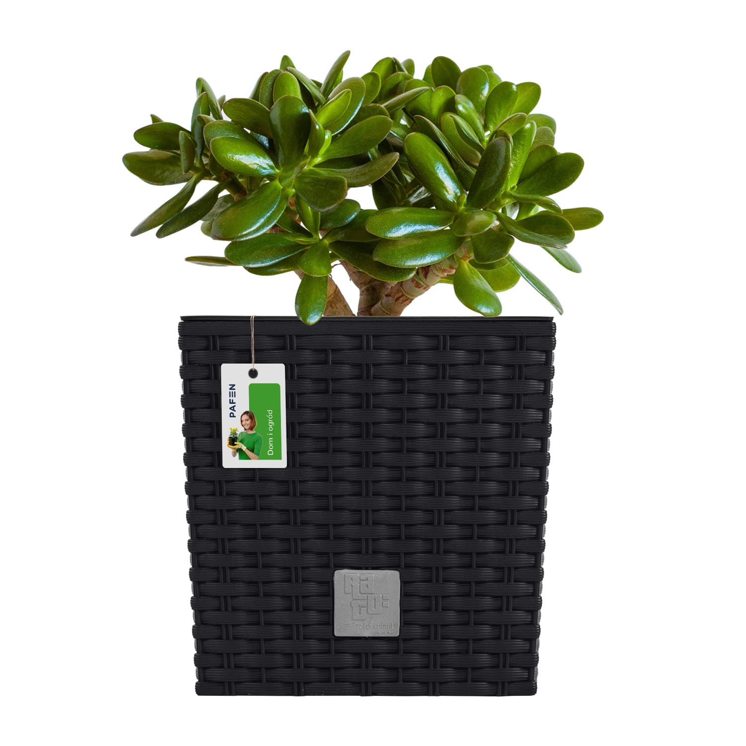 PAFEN 2X Rattan Blumentopf 4L  17 x 17 x 17 cm - Pflanzkbel mit Einsatz  Blumenkbel Low Pflanztopf Kunststoff, Anthrazit: Amazon.de: Garten