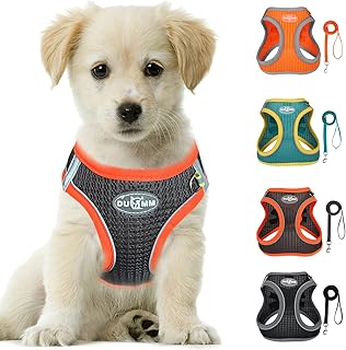LOS ANDES Hundegeschirr mit Leine, Reflektierend Weich Gepolstert, Air-Mesh, XXS (Brust: 28-32cm), Grau mit reflektierenden Streifen, für kleine und mittlere Rassen product image