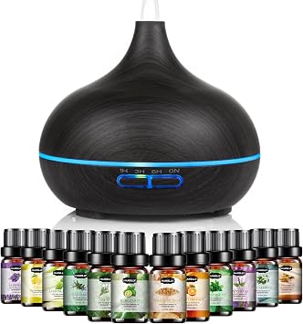 Hanolly Essential Oil Diffuser for Home 500ML