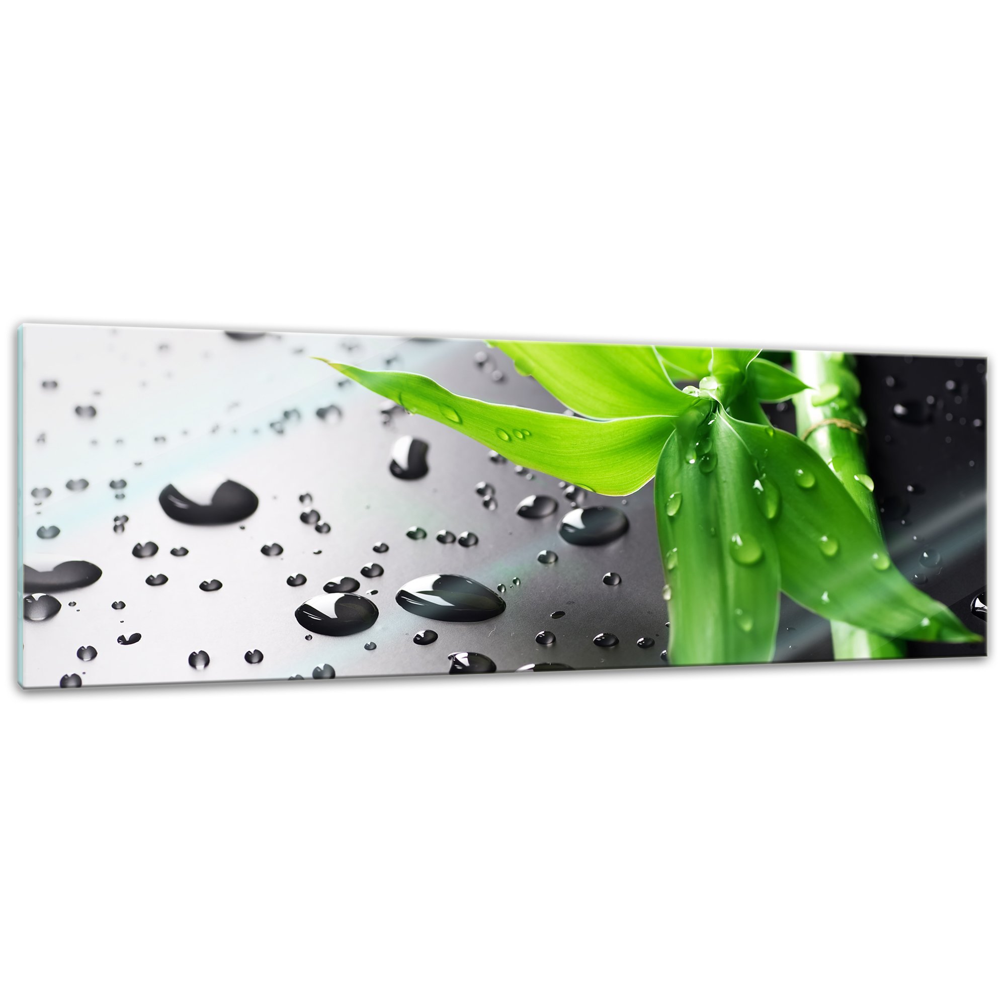 Bilderdepot24 Glasbild - Frischer Bambus - 90x30 cm - Deko Glas - Wandbild aus Glas - Bild auf Glas - moderne Glasbilder - Glasfoto - Echtglas