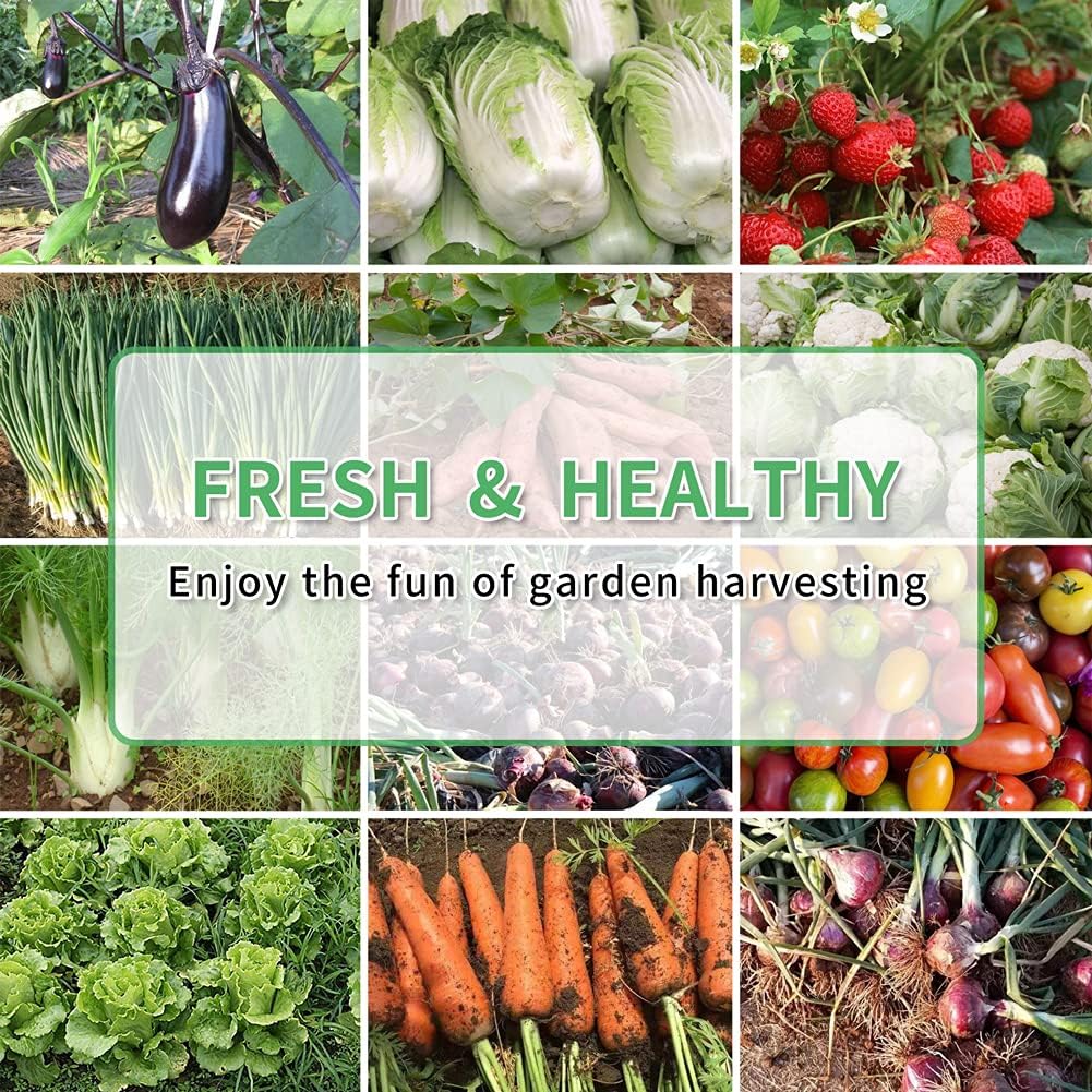 DIY Galvanized Raised Garden Beds 6 Pack, Easy DIY Metal Planter Boxes for Grow Fruit and Root Vegetables Flower