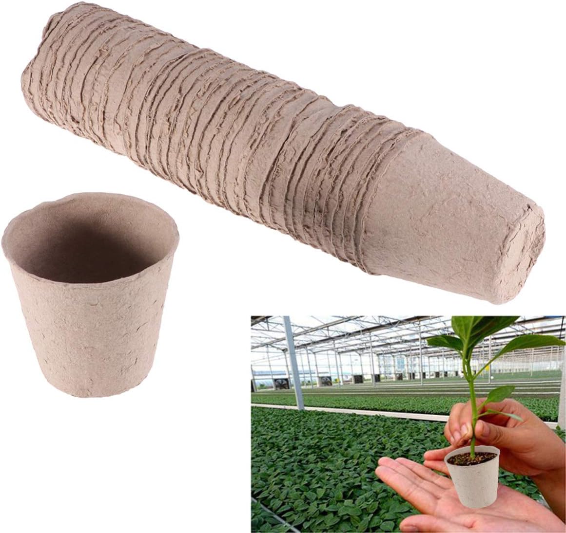 Hemoton 100 Pcs Biodegradable Peat Pots for Seedlings Plant Starter Pots Kit Succulent Planters Nursery Pots (8 x8 cm) : Patio, Lawn & Garden