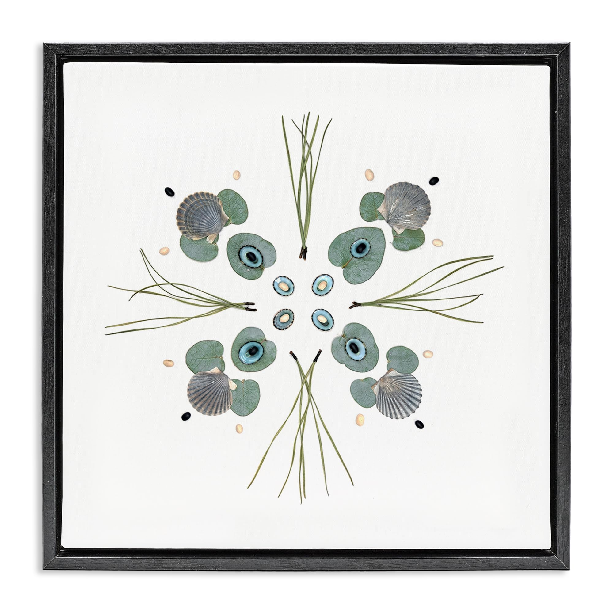 Stupell Industries Seashell Leaf Symmetry Arrangement 'Seashell & Leaf Symmetry', Floating Frame Canvas Art, Black, 25 X 25 Inches, Easy To Hang And Sturdy, Made In Usa, By Beth Adoette