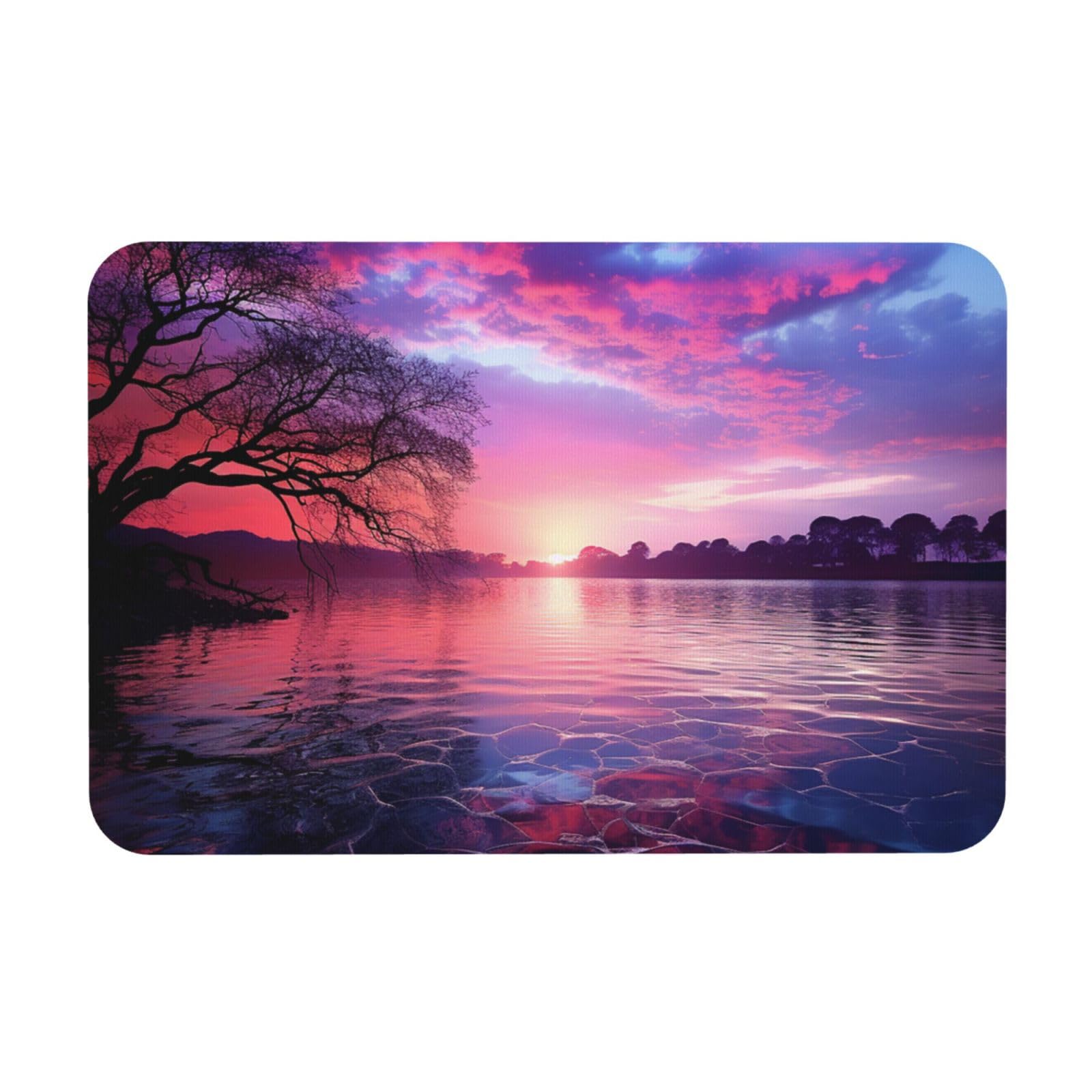 Tapis de bain en pierre violet 60x40 cm, tapis de sol de salle de bain lavable