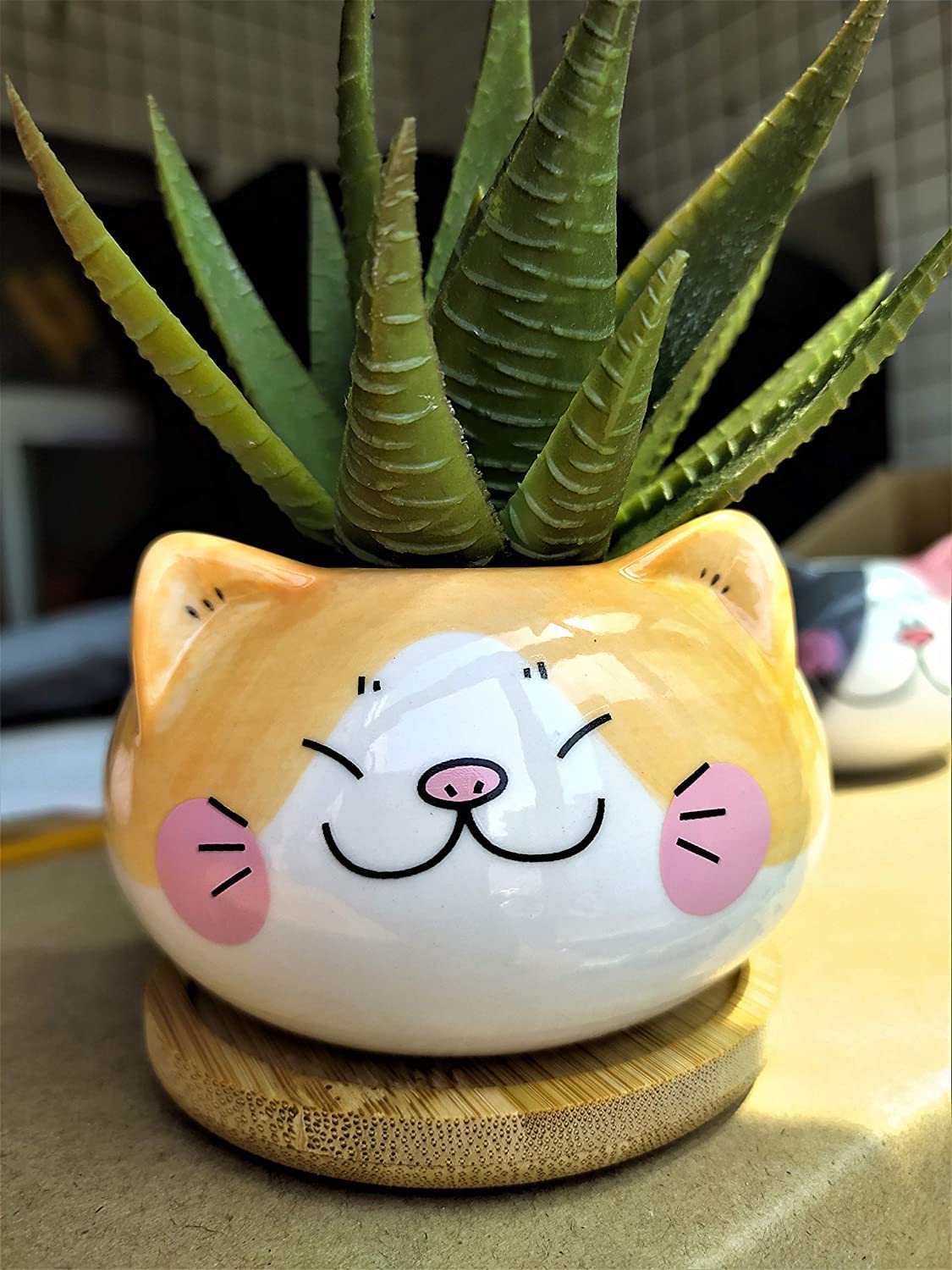 Vasetto Per Piante Grasse In Ceramica Bianca A Forma Di Animale (Delfino) Con Foro Drenaggio E Vassoio In Bambù, 11x9x9 Cm, Decorazione Da Tavolo
