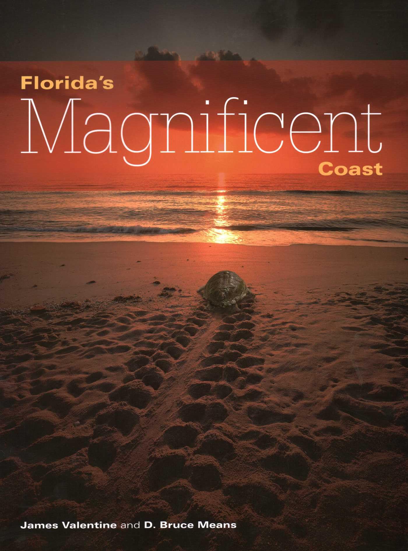Florida's Magnificent Coast livre photo de paysage pour salon