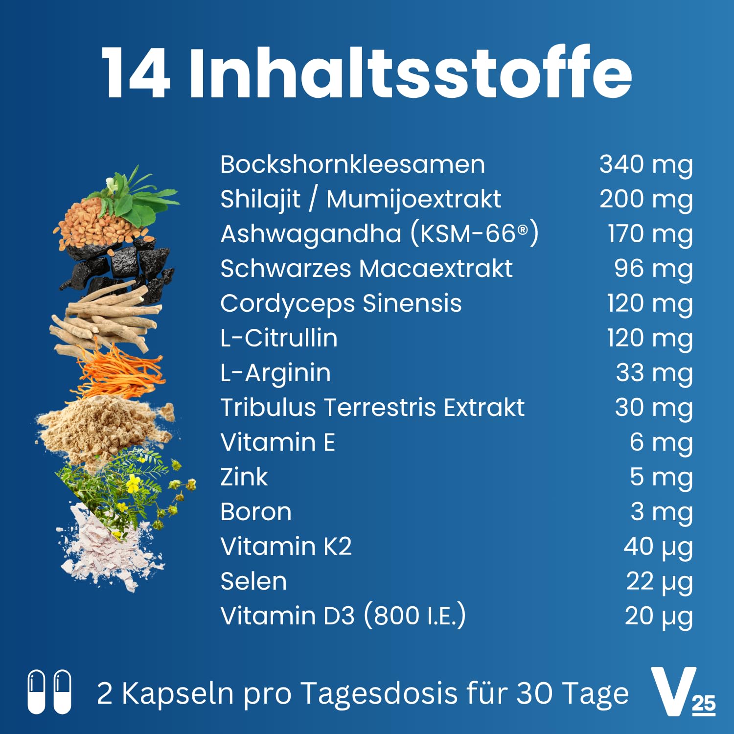 T-Level Kapseln mit Shilajit, Ashwagandha KSM-66®, Maca schwarz, Bockshornklee, Tribulus, Cordyceps, Bor, Aminos - hochdosiert & vegan - 240 Kapseln für 4 Monate
