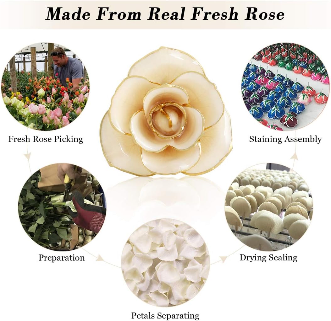 Gold Plated Rose with Base - Image 3