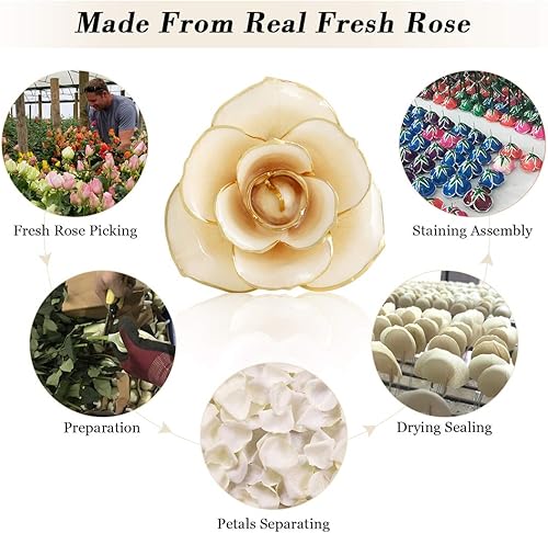 Miniatura 3 de Ejoyous Rosa de oro de 24 quilates, regalo de rosa real preservada para siempre, para amantes, mamá, esposa, hija, novia, amiga, regalo único en el