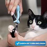 Ver la foto 5
