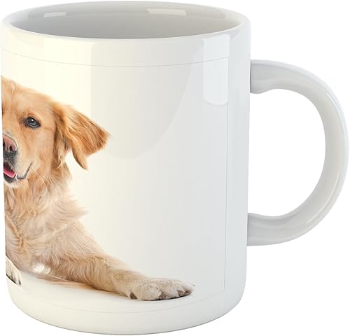Miniatura 2 de dorado Retriever taza por Ambesonne, Young Pedigree Cachorro colocar sobre fondo blanco dulce bebé perro, impresa de cerámica taza de café bebidas