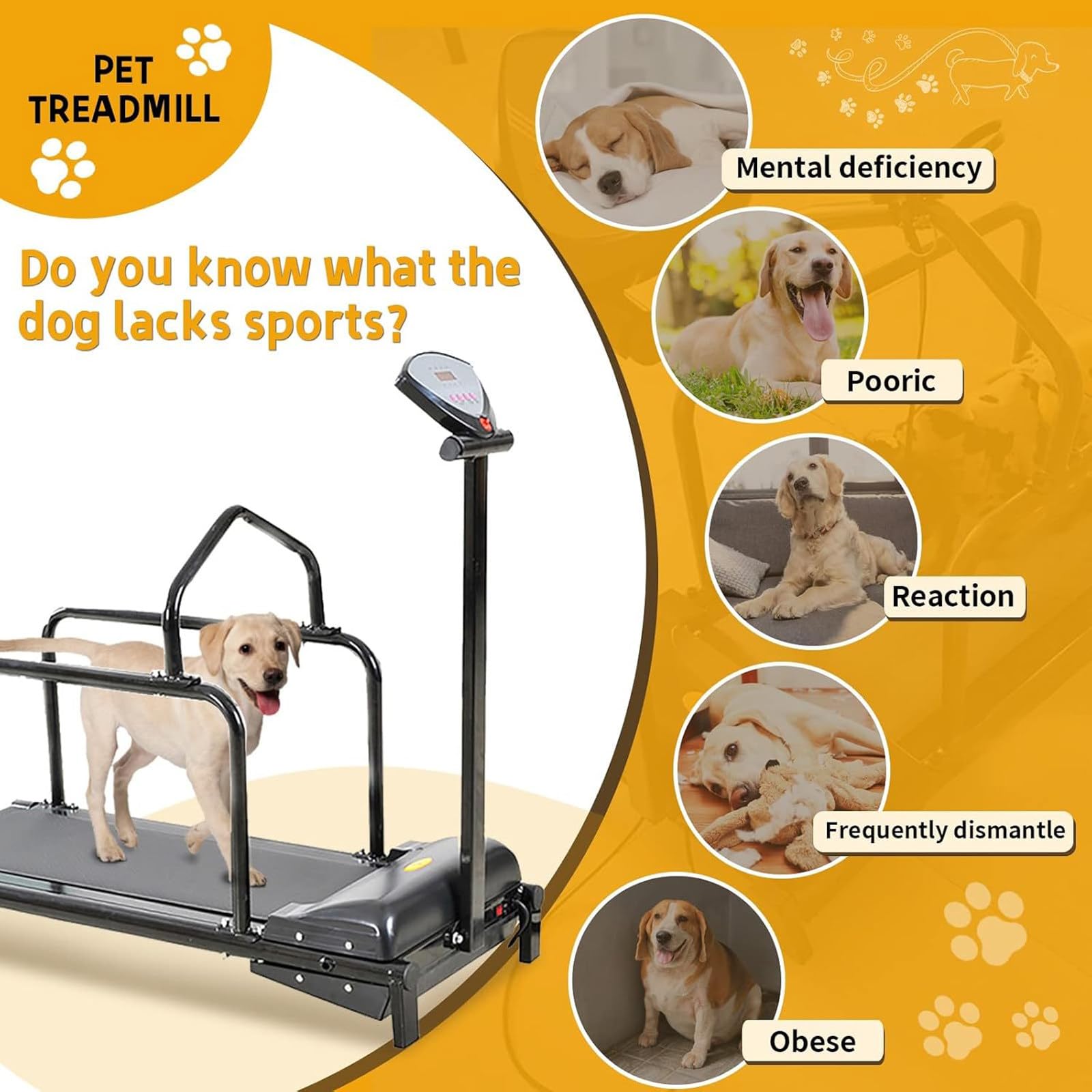 Laufband für Hunde – Hundelaufband für kleine Hunde – Dog Pacer-Laufband für gesunde und fitte Haustiere – für Hunde mit einer Körperlänge von nicht mehr als 50 cm, Laufband für Haustiere,Black
