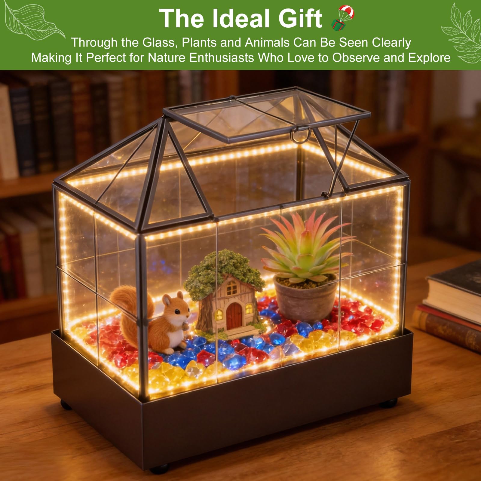 Mini invernadero para ventana de cristal, 23,3 x 13,6 x 18 cm, para plantas, terrario, pequeño jardín de botellas