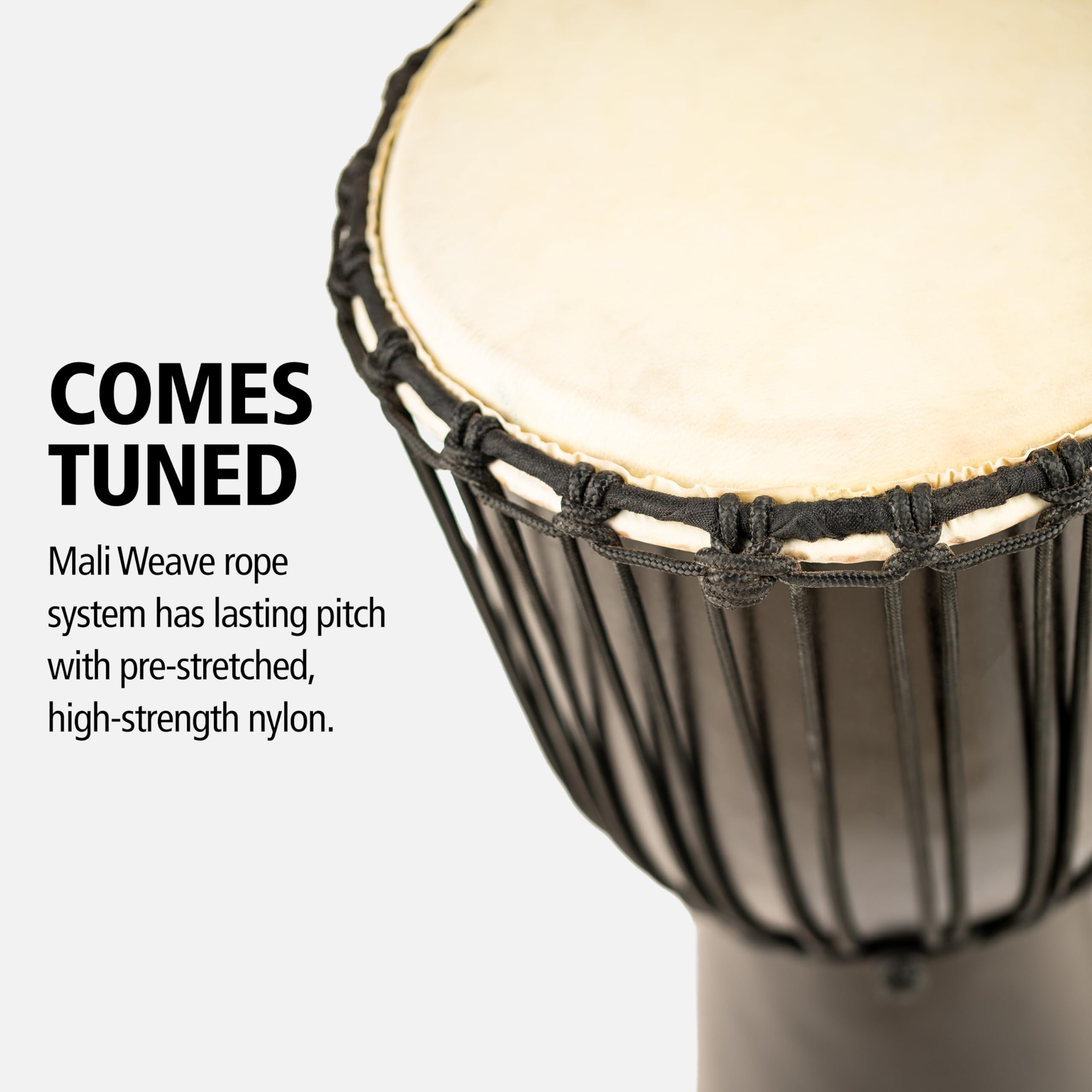 Amazon.co.jp: MEINL Percussion マイネル ジャンベ Congo Series 12