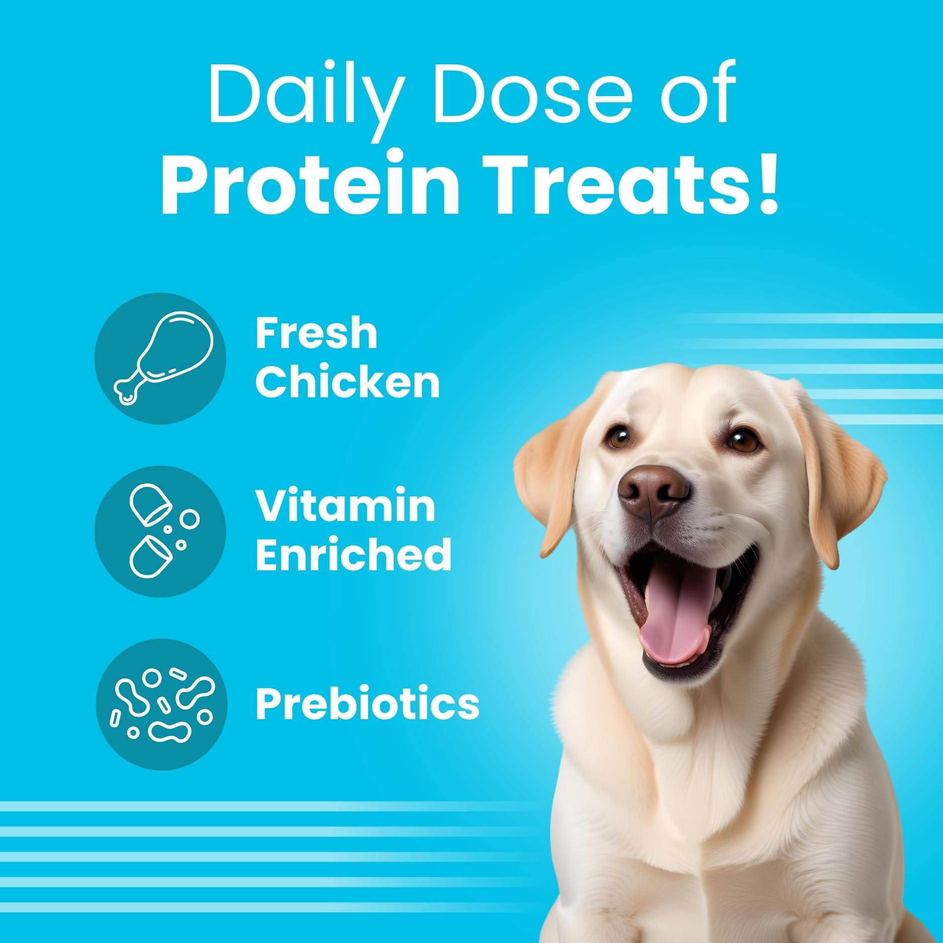 BARK OUT LOUD By Vivaldis - Dog Treats Combo Of Chicken Rings & Coatiez For Shiny Skin Coat & Intestinal Health Omega Fatty Acids, Prebiotics Of All Life Stages, Stick, Pack Of 2