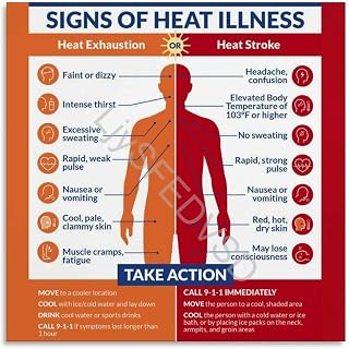 Heat Illness Signs Take Action Infographic Poster Workplace(Unframed,12x18inch(30x45cm))