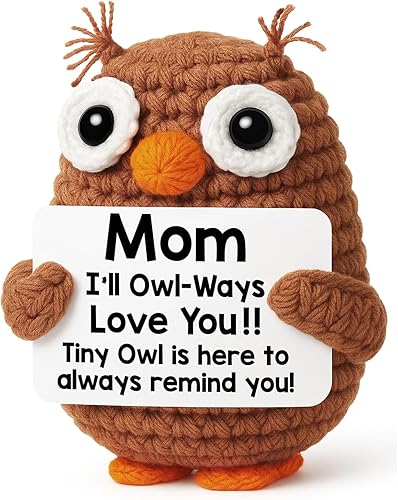 Hweijm Gifts for Mom Valentines Birthday from Daughter Son, Funny Crochet Owl Valentines Day Birthday Gift for Mama Bonus Step Mother in Law, I Love You Mom Gift Handmade Emotional Owl Support Decor