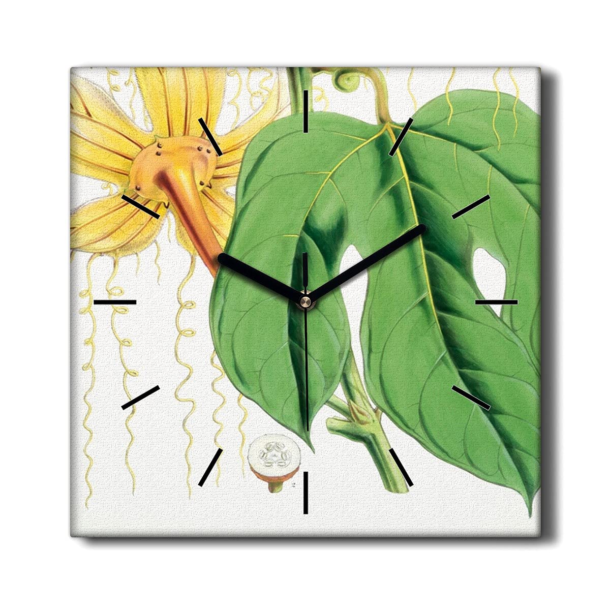 Horloge sur Toile Silencieuse Coloray Contre le Bruit Déco Murale Fleurs Salon