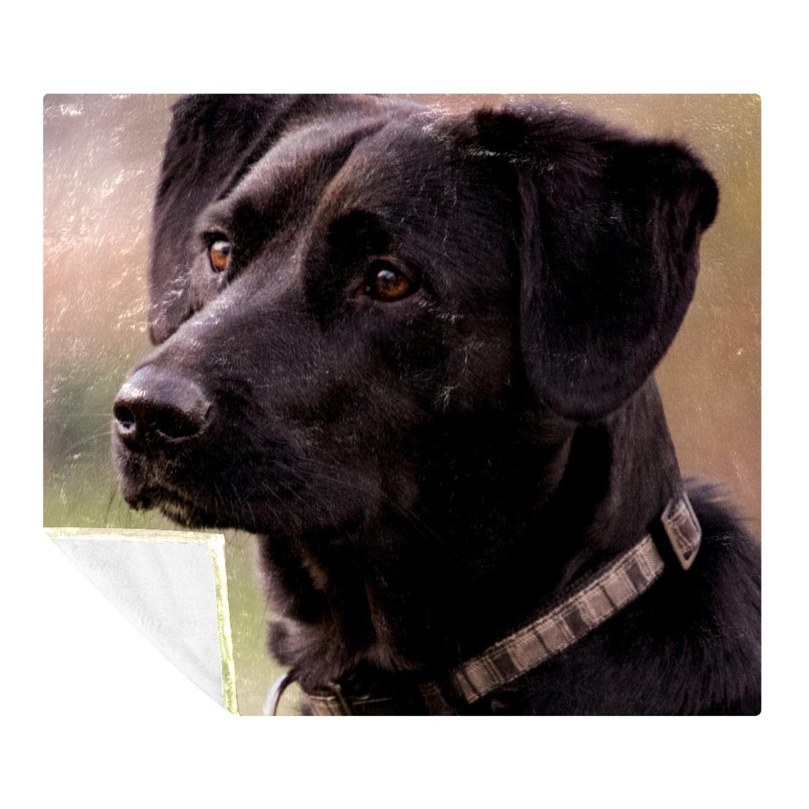 Couverture en peluche chien noir en microfibre douce
