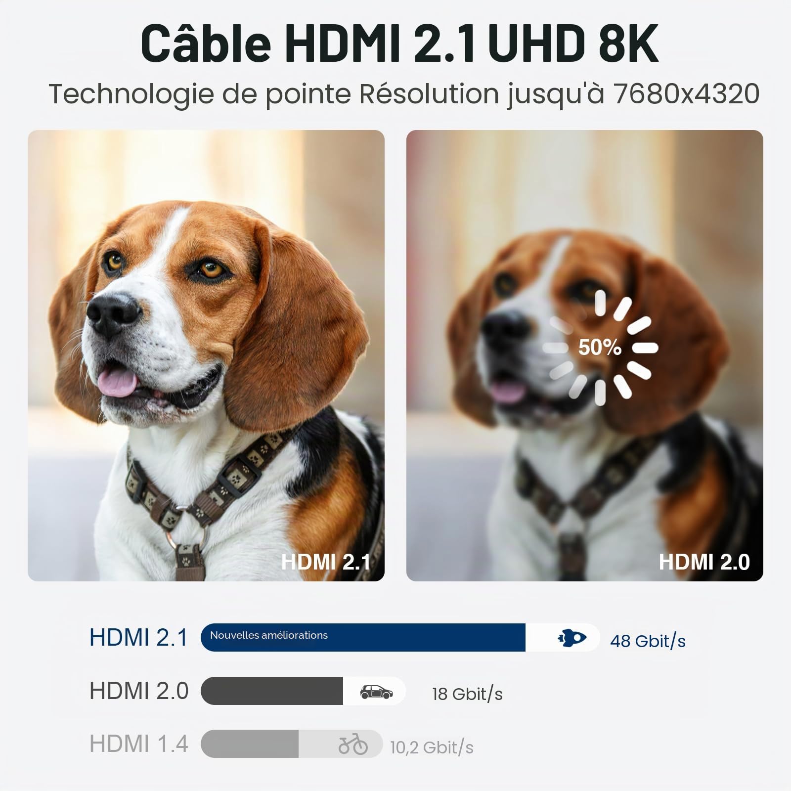 Câble Fibre Optique HDMI 8K 10m, Câble de Fibre Optique Ultra - Rapide HDMI 2.1 48gbps, Prise en Charge 8K@60Hz Et 4K@120Hz HD R Compatible avec Fire Roku Apple HDTV, Moniteur, Projecteur