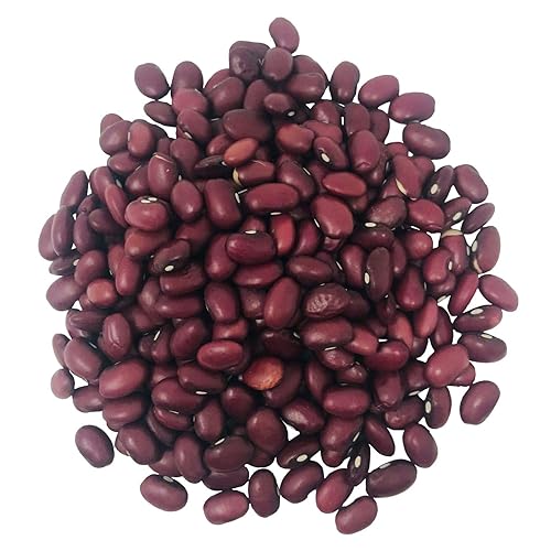 Miniatura 3 de Food to Live Frijoles rojos pequeños orgánicos, 5 libras, sin OMG, kosher, vegano, seco, crudo, germinable, no irradiado, vegano, a granel, producto