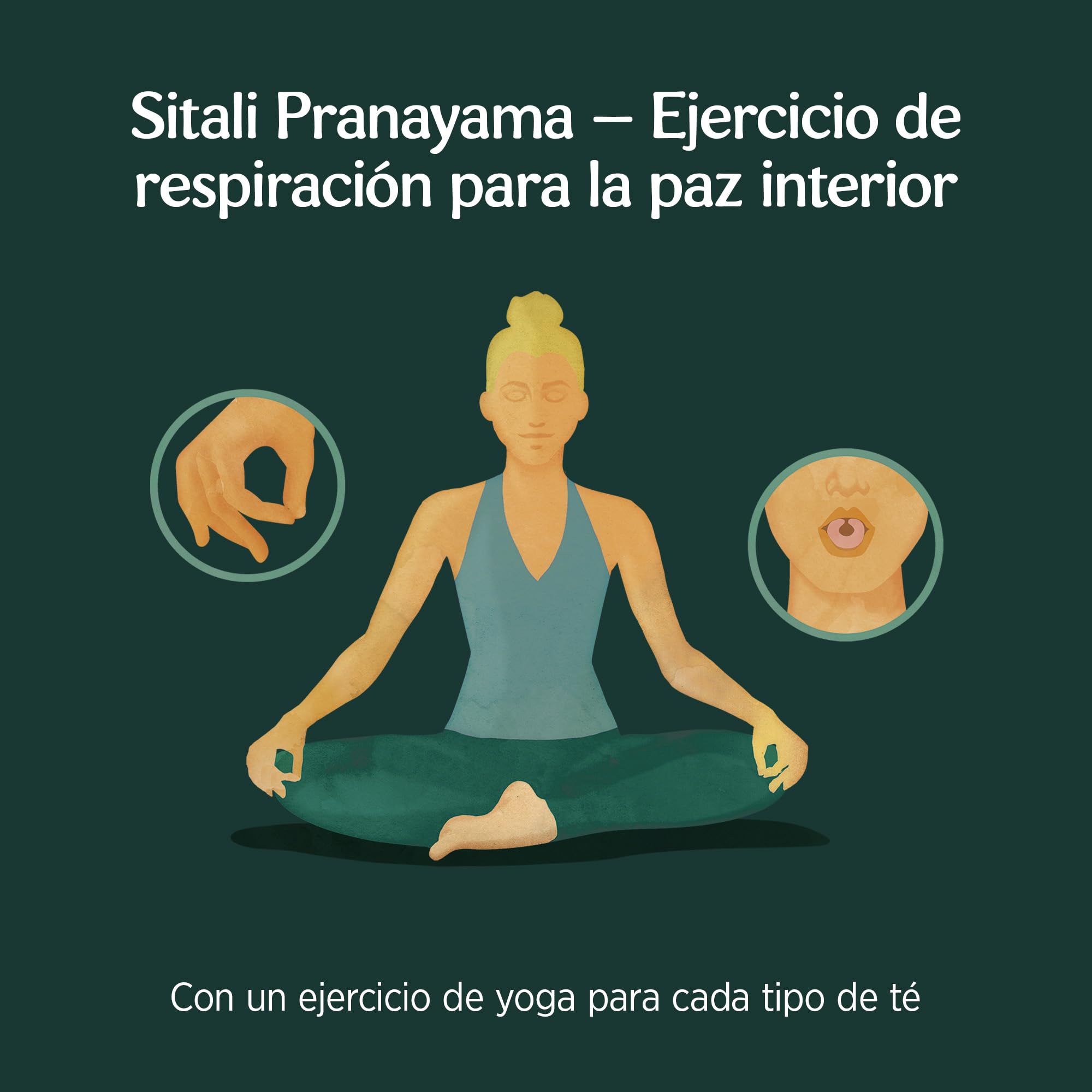 Yogi Tea Relax Infusión Ayurvédica Tila Manzanilla Rosa Canina Sin Cafeína Pack 3x17 bolsitas
