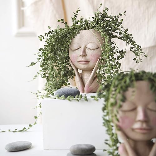 Miniatura 10 de AIMEBBY Maceta para suculentas, con agujero de drenaje, ojos cerrados, luz