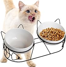3 x Elevated Cat Bowls Ceramic Bowl with 15° Tilt for Cats and Small Dogs