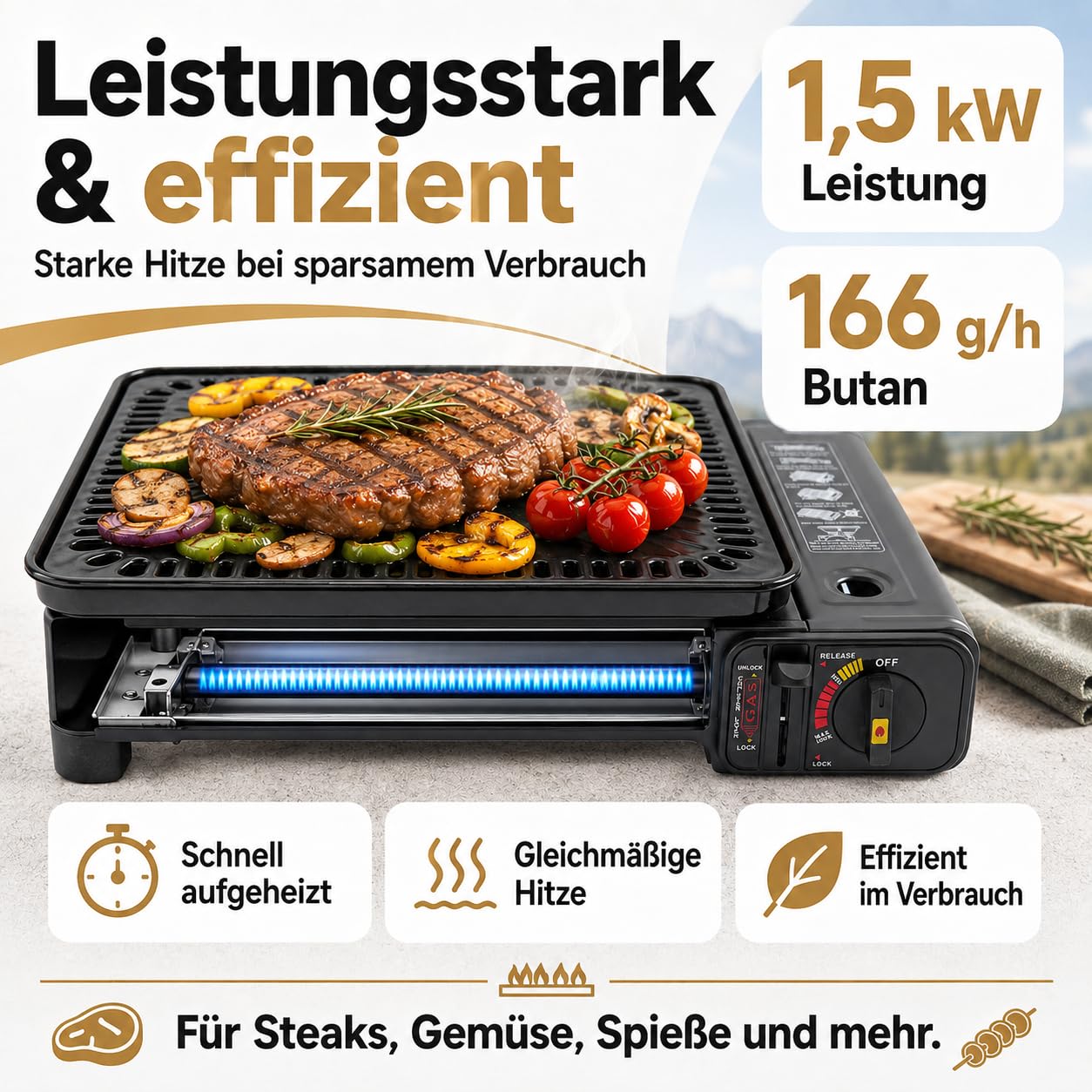 Gasgrill Camping mit 8 Kartuschen Grillplatte Grillrost + Schaschlikpieße
