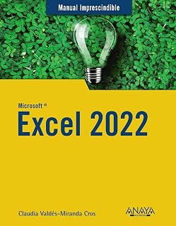 Microsoft Excel 2022