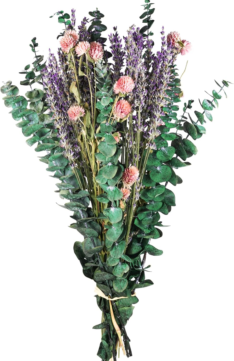 54 Pcs Dried Eucalyptus Stems & Lavender Flowers Bundle for Shower Natural Fresh Eucalyptus Leaves Hanging Eucalyptus Shower Plants for Home and Wedding Decorations miniatura 1