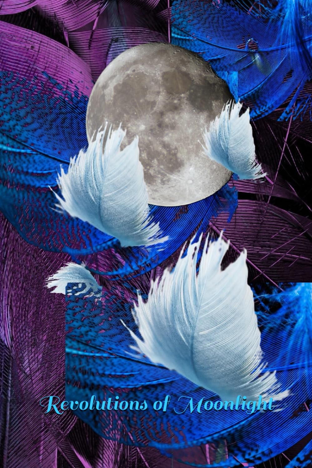 Revolutions of Moonlight (The Outlaw, Chainsaw Jaws)      Paperback – November 2, 2025