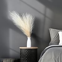 Vista 32 de Decoración de hierba de las pampas, 6 tallos de 18 pulgadas de hierba pomposa, arreglo floral pequeño y relleno de jarrón para decoración bohemia