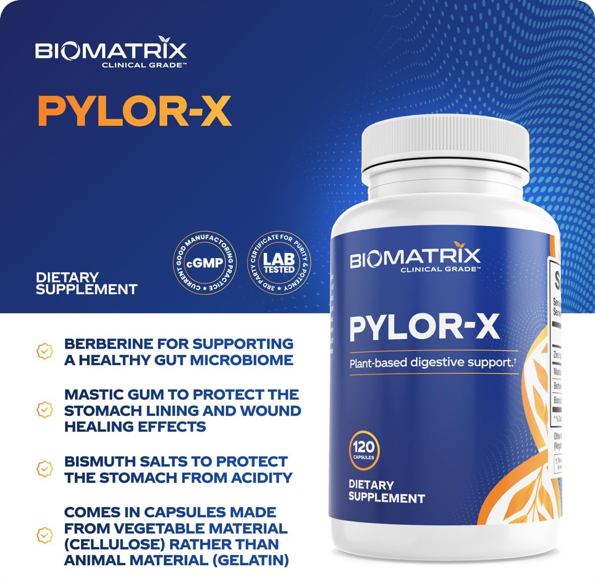 BioMatrix Pylor-X Gut Health Supplement – Mastic Gum, Berberine, Zinc Carnosine & Bismuth Salts for Gastric Support, Digestive Comfort, Stomach Lining Protection - (120 Capsules) 30-60 Day Supply - Image 2