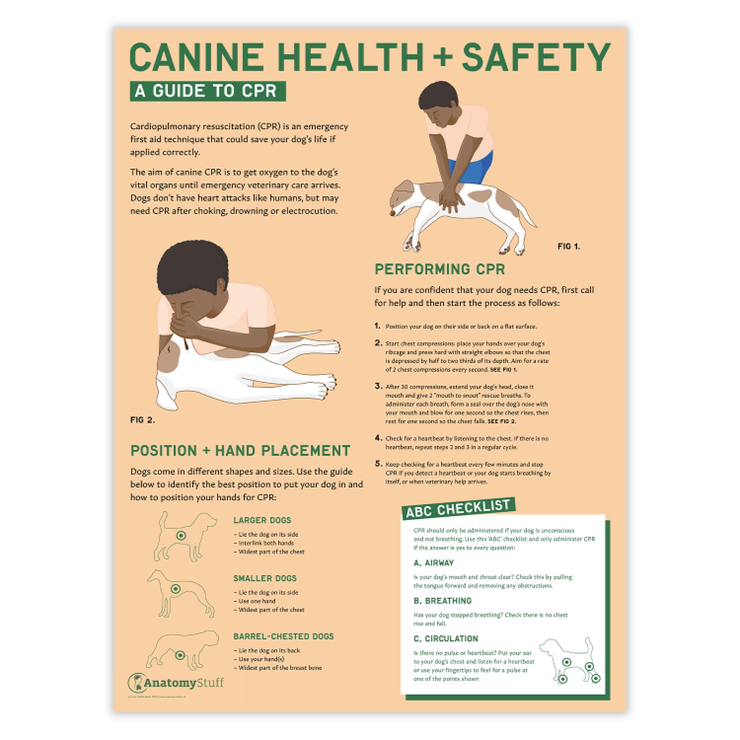 Anatomy Stuff Dog Cpr Canine Health And Safety: A Guide To Cpr For Dogs Poster 45X60 Cm, 18X24 Inches, Veterinary Wall Chart, Pet Owner Poster
