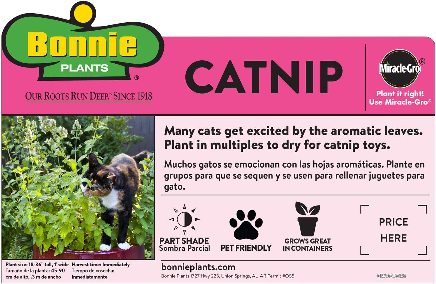 Bonnie Plants Pet Friendly Garden Plants (4-Pack), Live Plants, Cat & Dog Friendly Herbs, Catnip, Pet Grass, Sweet Mint & Oregano