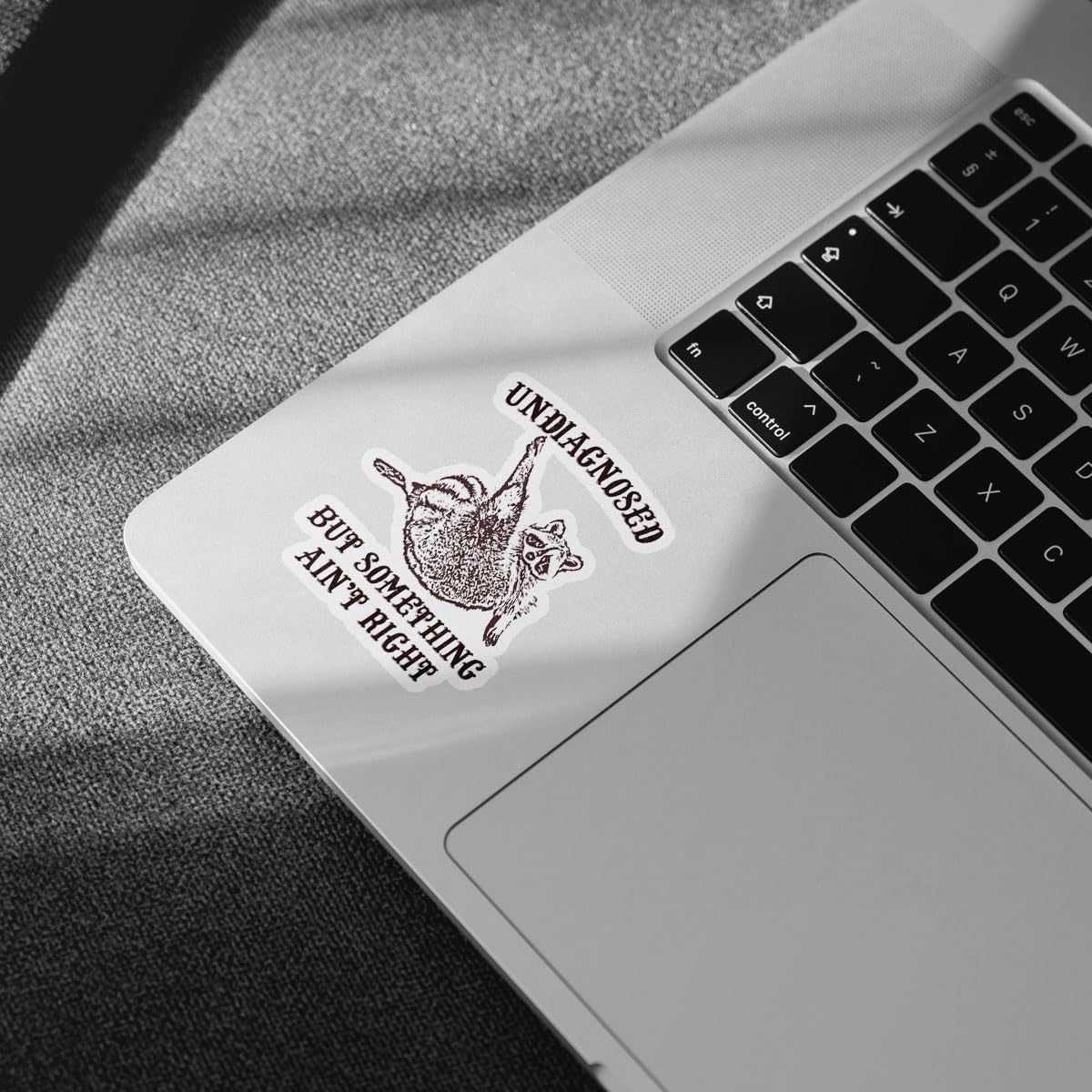 3Pcs Undiagnosed But Something Ain't Right Sticker Funny Raccoon Trash Panda Gift Undiagnosed But Something is Definitely Wrong Stickers Sarcastic Decal for Laptop Bottle Phone Car Hard Hat 3" (U1)