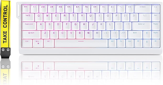 HE65 Rapid Trigger Gaming Keyboard,65% Magnetic Switch Hall Effect Keyboard Hot Swap Custom RGB Hyper-Fast Adjustable Actuation Wired Compact Mechanical Keyboard,8K Hz Polling Rate White