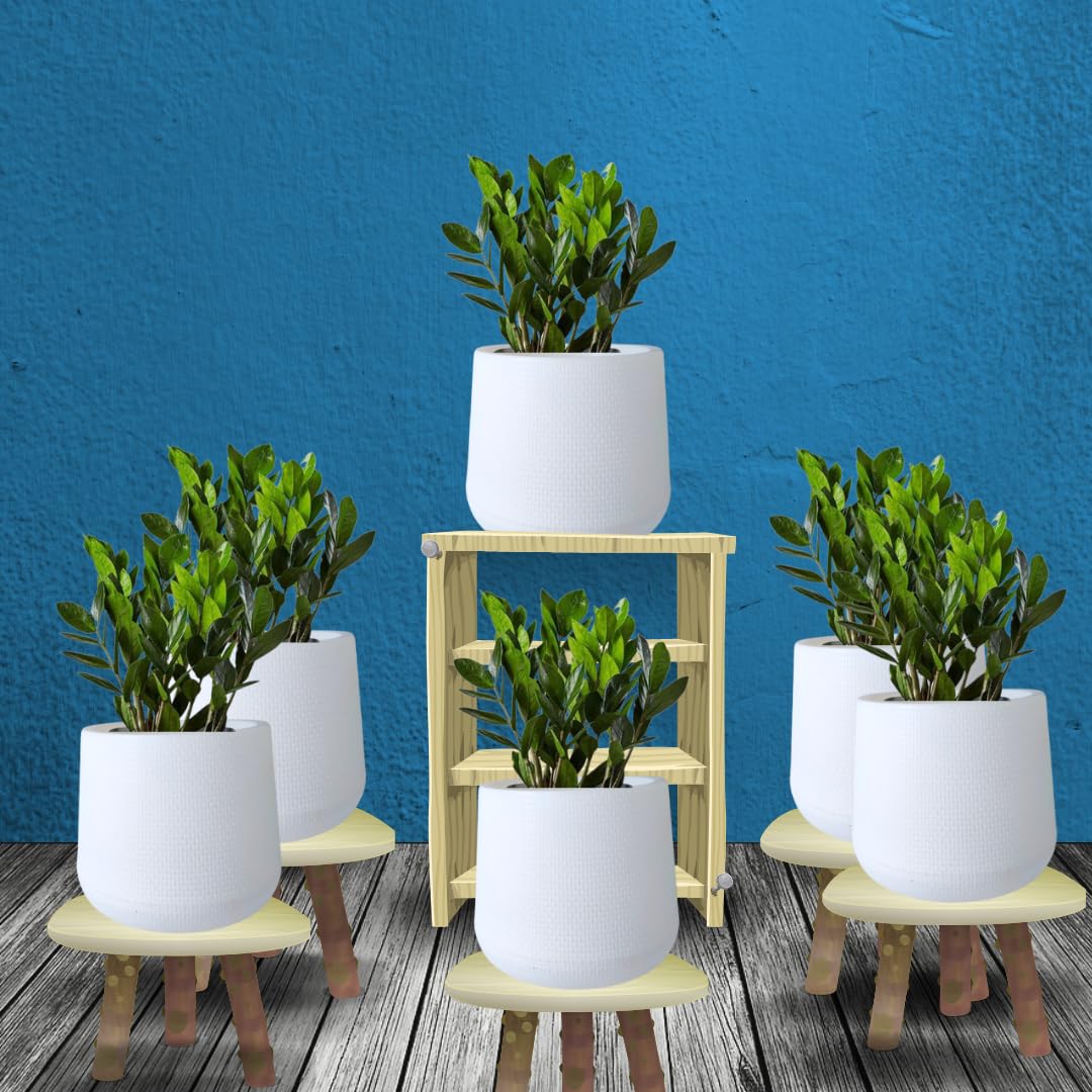 Flower Pot For Indoor Plant, | Made of Non-Fadable UV Treated Virgin Plastic | For Succulant, Cactus | Modern Decor for Living Room, Garden, Office (White, Pack of 6) (B0BJ8QL2FC) Amazon Price History, Amazon Price Tracker