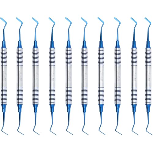 ARTMAN INSTRUMENTS 10 PCS Dental Composite Filling Plastic Instruments – Flat Ends Heidman Set for Restorative Dentistry, Filling and Contouring