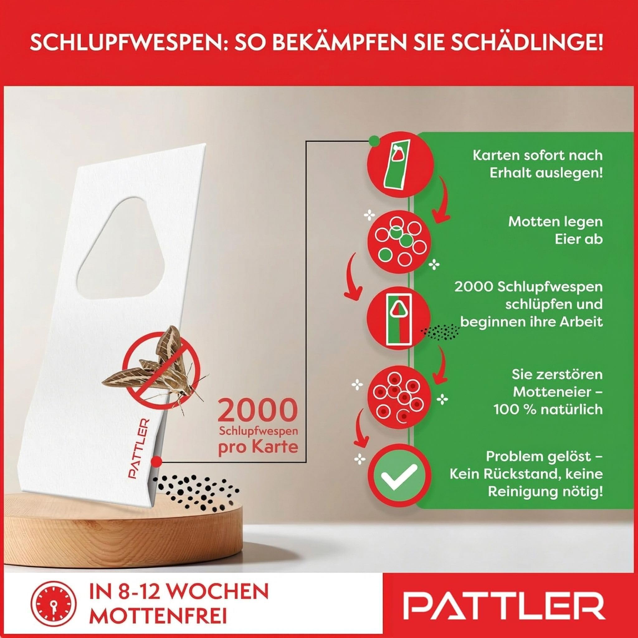 PATTLER® Schlupfwespen gegen Lebensmittelmotten und Kleidermotten - 10 Karten à 4 Lieferungen - Effektiv Motten bekämpfen - Alternative zur Mottenfalle, Mottenspray, Pheromonfalle